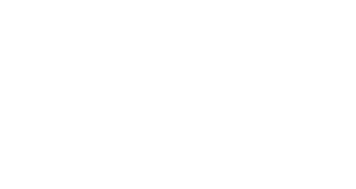 US Basic Logo