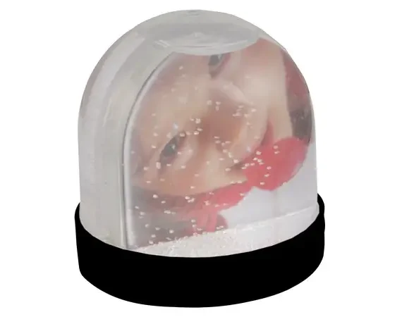 Picture Snow Globe