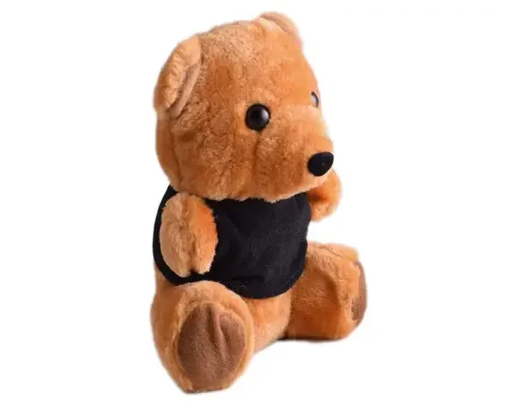 Teddy Plush Toy