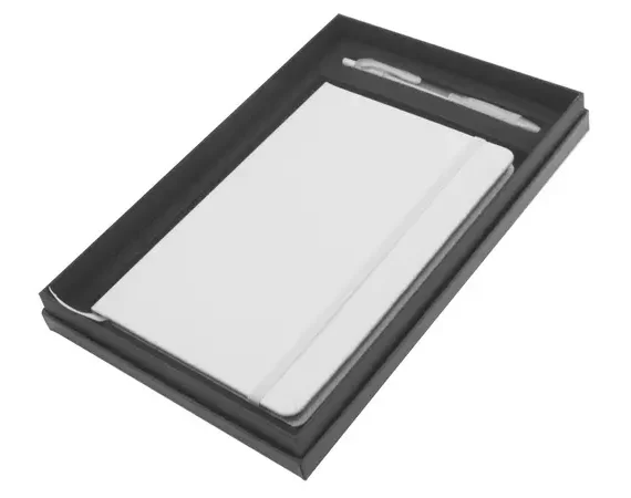 Flexi Notebook & Neo Pen Set