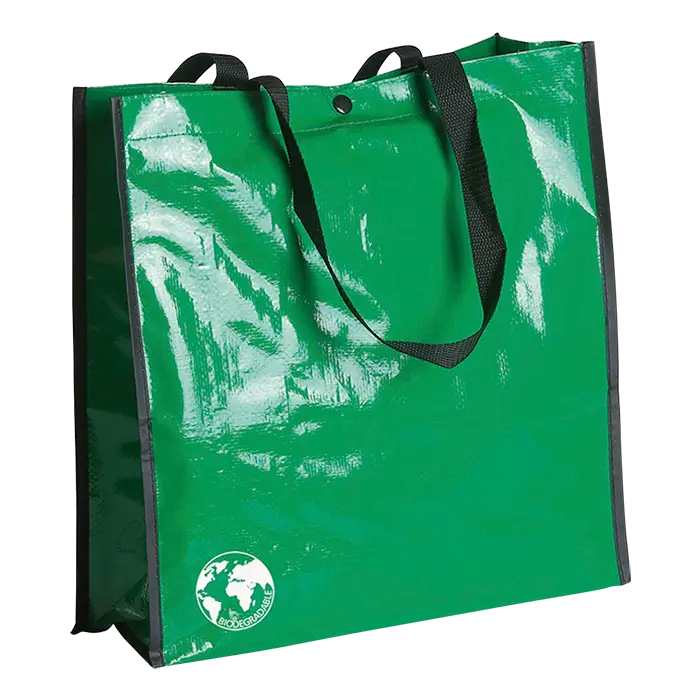 Recycle Bag
