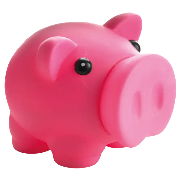 Piggy Bank with Nose Stopper