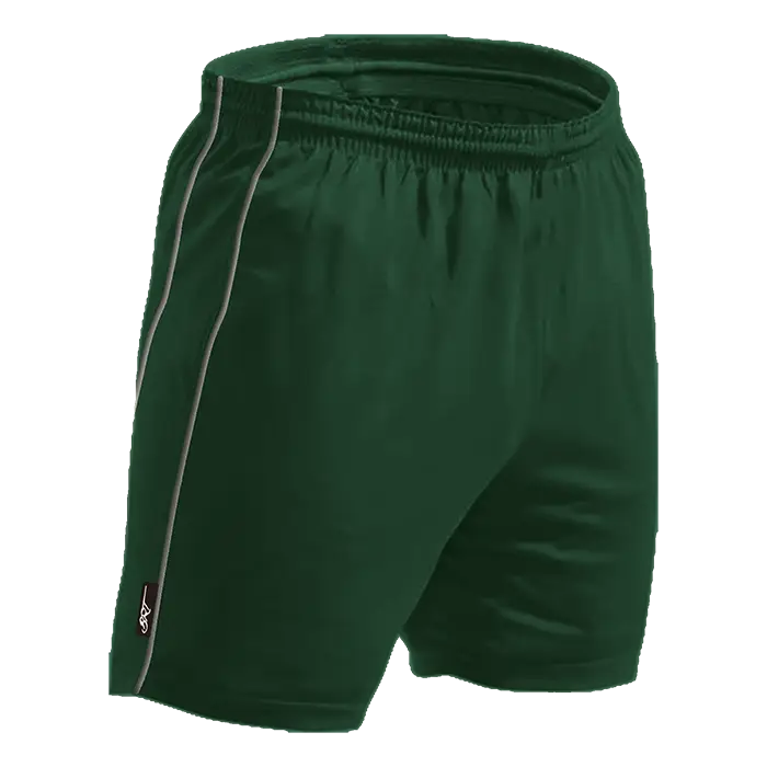 BRT Reflect Shorts