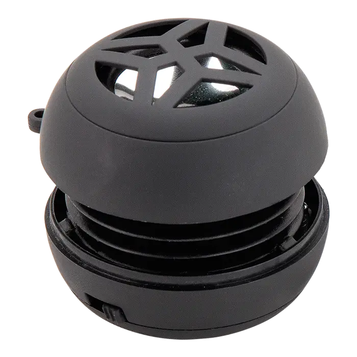 Hamburger Speaker