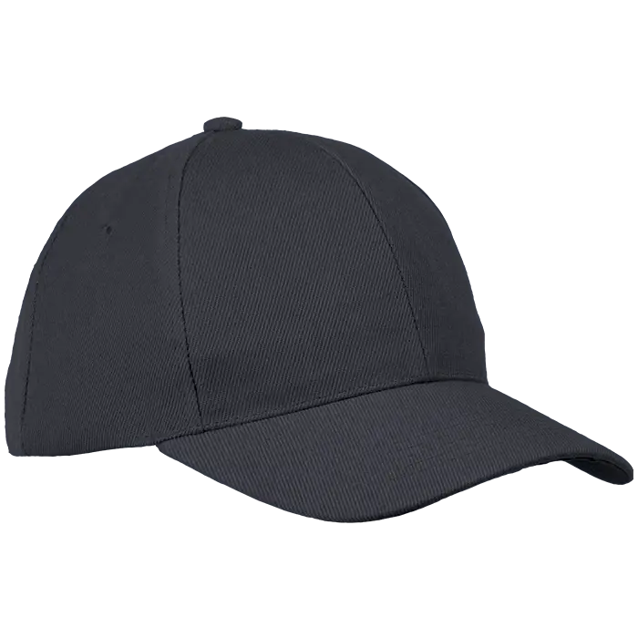 6 Panel Raven Cap