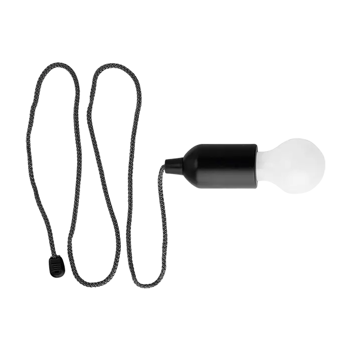 Light Bulb Shaped LED Light
