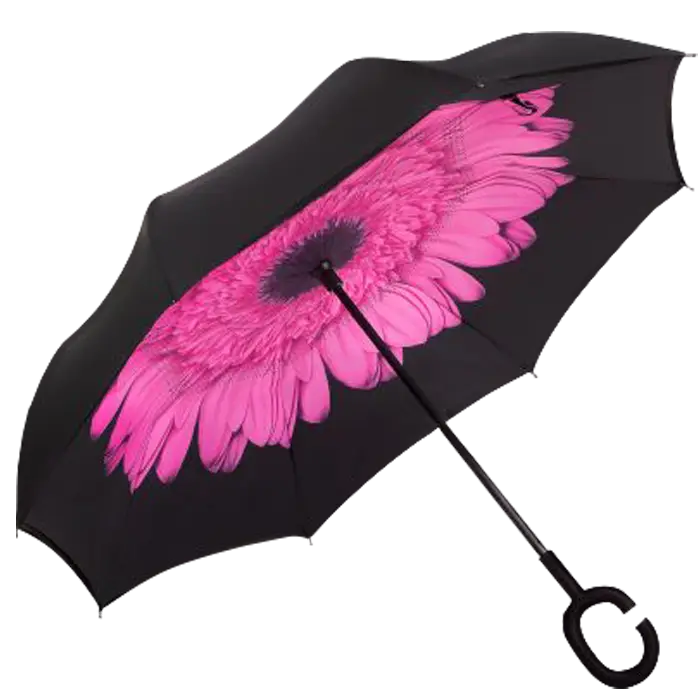 Printed Reversible Umbrella