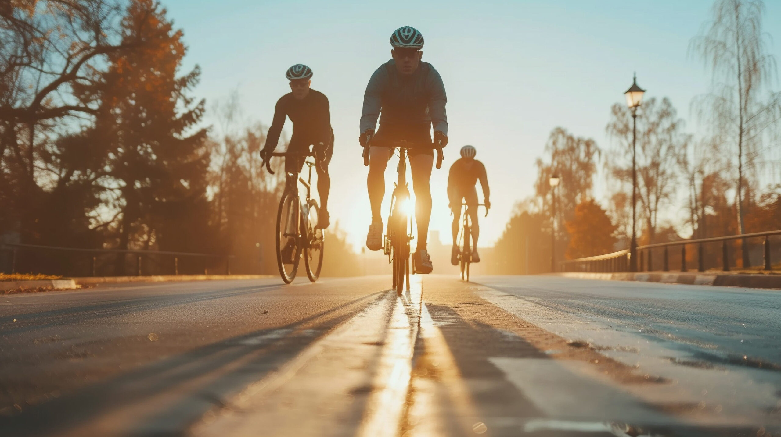 Three cyclists riding down a road toward the camera at sunrise or sunset, silhouetted by warm golden light with long shadows stretching across the pavement.