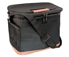 Coolix Lunch Cooler Bag